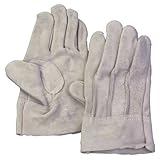 熱田資材 WING ACE 背縫い 牛床革手袋 フリーサイズ 12双 No.11