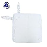 PETIT BATEAU【プチバトー】コットンハンカチ 35303 (67 ： ベビーブルー)