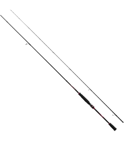 19セフィア Sephia SS C3000SDIHG スピニングリール シマノ シマノ/SHIMANO 19 セフィアSS C3000S SEPHIA SS