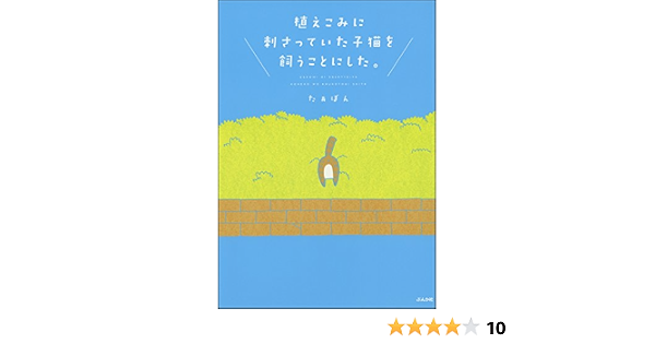 植えこみに刺さっていた子猫を飼うことにした 本当にあった笑える話 たぁぽん 女性マンガ Kindleストア Amazon