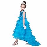 女の子のプリンセスドレス, 幼児の女の子の結び目のある結婚式の花嫁介添人のノースリーブのツツーのプリンセスドレス by TODOYI (130, BU)