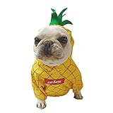 PP&DD フルーツ 犬服 パイナップルデザイン スウェット パイナップル パーカー 面白い 暖かい 帽子付き 犬 フレンチブルドッグ フレブル コスチューム 小型中型犬 犬の服 レッド かわいい おしゃれ 秋 冬 秋冬 秋用 冬用 ハロウィン クリスマス仮装 コスプレ コスチューム イベント 猫にも兼用 サイズ選べる (M, パイナップル)