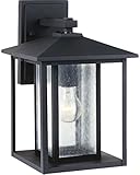 Sea Gull Lighting 88027-12 Outdoor Sconce with Clear Seeded?Glass Shades, Black Finish [並行輸入品]