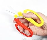 坂源 ハンドクリエーション F160 Fキュート花鋏 （小・赤/黄タイプ） 箱入 仮屋崎先生デザインケース入
