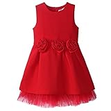 Pettigirl女の子ドレス 冬 ローズ ガールズワンピースレッド パーティー 7才-8才 [並行輸入品]