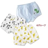 タイニーキュート（tinycute) 男の子 ブリーフ　ショーツ　下着 恐竜柄　動物柄　90　100　Ｇグループ