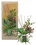 元藏 ルームフレグランス シープランツ ディフューザー 日本製 アガベ 665967 レモン&ローズマリーの香り レモン＆ローズマリー 100ml