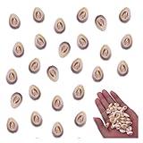 ファイニエ シェルパーツ 貝殻 カウリー アイボリー 14ｍｍ 小さめ ミックス 大穴 海 貝 天然素材 50個 マリン レジン 手芸 デコパーツ BD3969