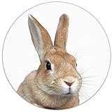 ちょい横向きのウサギの顔の丸型マウスパッド：フォトパッド（ 世界の野生動物シリーズ ）