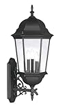 Livex Lighting 7566-04 Outdoor Wall Lantern with Clear Beveled Glass Shades, Black by Livex Lighting