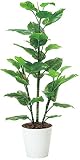 tree-h/ 造花 光触媒 観葉植物 フレッシュ・ポトス 150cm