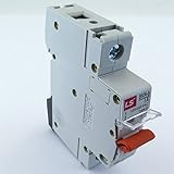 BKN-b-1P-D1A LS MINIATURE DIN RAIL MOUNT. 1 Pole UL 1077 CIRCUIT BREAKER D Curve 1A 120/240V [並行輸入品]