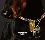 1st SONG(CD2枚組 10周年記念盤) (初回生産限定) - DOBERMAN INFINITY