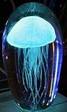 グローin theダークガラスクラゲSculptures (ターコイズ)