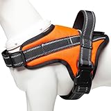 【新登場犬ハーネス特許取得】BaoCheng 犬用胴輪 小型犬/中型犬/大型犬ハーネス 喉に優しい ネームプレートポケット 可愛い 着脱簡単 調整可能 7色選択可能(オレンジ,S)