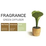 ルームフレグランス GREEN DIFFUSER 観葉植物フレグランス アロマオイル アロマディフューザー 芳香剤 / アンバーウッドの香り