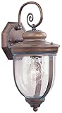Livex Lighting 2561-93 Outdoor Wall Lantern with Seeded Glass Shades, Vintage Brass [並行輸入品]