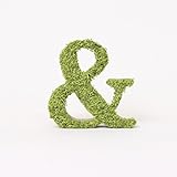 A plus floral art インテリアグリーン ワンサイド イニシャルモス [ & ] アルファベット レター オブジェ 置物 苔 イニシャル 雑貨 北欧風 インテリア プリザーブドフラワー