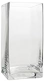 Flower Glass Vase Decorative Centerpiece For Home or Wedding by Royal Imports - Tall Rectangle Shape