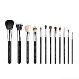 Sigma Beauty Essential Kit Set of 12 Brushes CK001