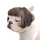 【24HOURS】犬 猫 ハロウィン カツラ パーマ アフロ おもしろグッズ 変装 フレンチブルドッグ ペット服 犬 コスプレ 可愛い 猫服 犬用 面白い コスチューム 小型犬 中型犬 大型犬 変身服 出掛け 撮影道具