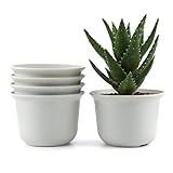 T4U 3.5 インチ プラスチック植木鉢 ラウンド 多肉植物 サボテン鉢 フラワーポット プランター容器 白 5個入り