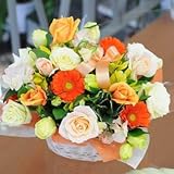 エーデルワイス 【オレンジミックス】 アレンジメント ビタミンカラー