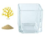 花市場直送便 ミニチュアガラス リアルサンゴM イエロー & カラーサンド ゴールド & 植え込み用グラス ニューブロックS