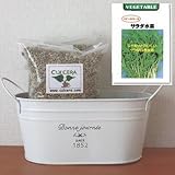 ベビーリーフ（サラダ水菜）の栽培セット/標準セット（液体肥料無し）プランターホワイト仕様