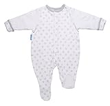 Gro Silver Star Suit (3 to 6 Months) by The Gro Company