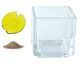 花市場直送便 ミニチュアガラス 蓮の葉 & カラーサンド ブラウン & 植え込み用グラス ニューブロックS