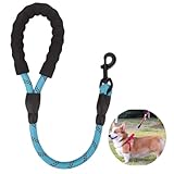 Quikaboo ショートリード 犬用リード 60cm クッション カラビナ 大型犬 中型犬 散歩 訓練 しつけリード リフレクター効果 頑丈 軽量 (ターコイズブルー)