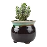 T4U 6CM 陶器鉢 流れ釉 上開口 黒底 植木鉢 多肉植物 サボテン鉢、花鉢 容器 ミ二植木鉢