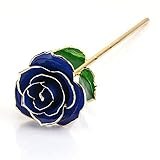 ローズ ブルー R01-B