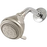 Waxman 8676200 Body Moods Showerhead, Brushed Nickel [並行輸入品]