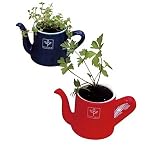 ノーブランド品 Petit coco kettle プチココ ケトル ハーブ栽培キット