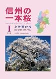 信州の一本桜 Ⅰ 上伊那の桜