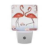 Alaza Wonderful Flamingo Bird Water LilyファンバタフライLED Night Light Dusk to Dawnセンサープラグin Night Home Dec