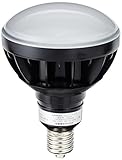 岩崎電気 LEDアイランプ45W昼白色/本体黒タイプ LDR45N-H/E39B850
