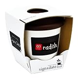 サイン＆デイト　ラディッシュ