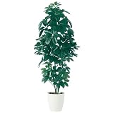 エフプランター 人工観葉植物-ツピダンサス-180-9号鉢-RP300