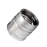 7artisans 55mm F1.4 APS-C 手動固定レンズ M4/3マウントカメラ用 パナソニック G1 G2 G3 G4 G5 G6 G7 G8 GF1 GF2 GF3 GF5 GF6 GM1 Olympus EMP1 EPM2 E-PL1 E-PL2 E-PL3 E-PL5 シルバー