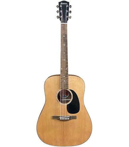 Amazon | イーストマン エレクトリック アコースティックギター