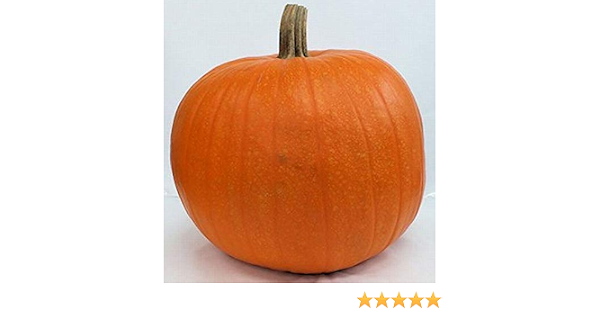 Amazon Co Jp 超特大カボチャ オータムゴールド 3lサイズ ハロウィンシール付 ハロウィンカボチャ オータムゴールド3lサイズ ホーム キッチン