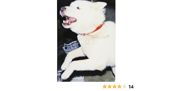 白い犬 佳代 梅 本 通販 Amazon