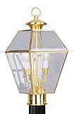 Livex Lighting 2284-02 Outdoor Post with Clear Beveled Glass Shades, Polished Brass [並行輸入品]