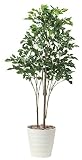 造花アート・観葉植物　ローズウッドツリー1.8＜ 入学祝い 卒業祝い 卒園祝いに ＞