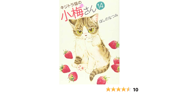 キジトラ猫の小梅さん 14巻 ねこぱんちコミックス ほしの なつみ 本 通販 Amazon