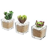 3のセットモダンホームインテリアミニ人工多肉植物Potted in立方体ガラス花瓶