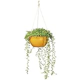 花ごころ ガーデニング用品・資材 ECOカラーポット ハンギング オレンジ 63558
